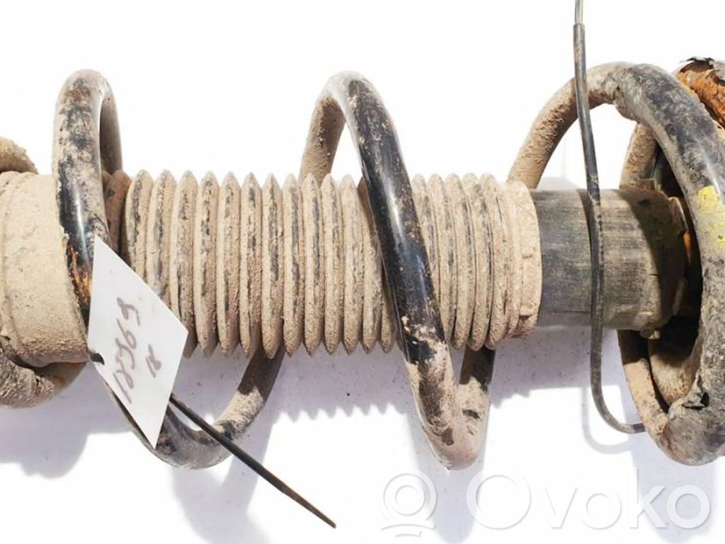 Front coil spring