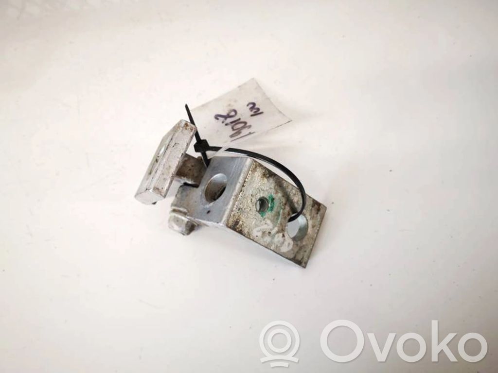 Skoda Octavia Mk2 (1Z) Cerniera superiore della portiera anteriore