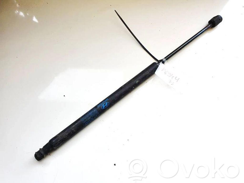 Hyundai Santa Fe Ammortizzatore portellone posteriore/bagagliaio 