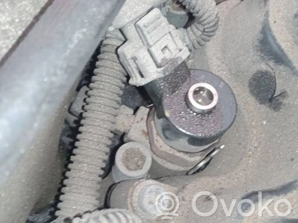 Inyector de combustible   0445110119,0445110119