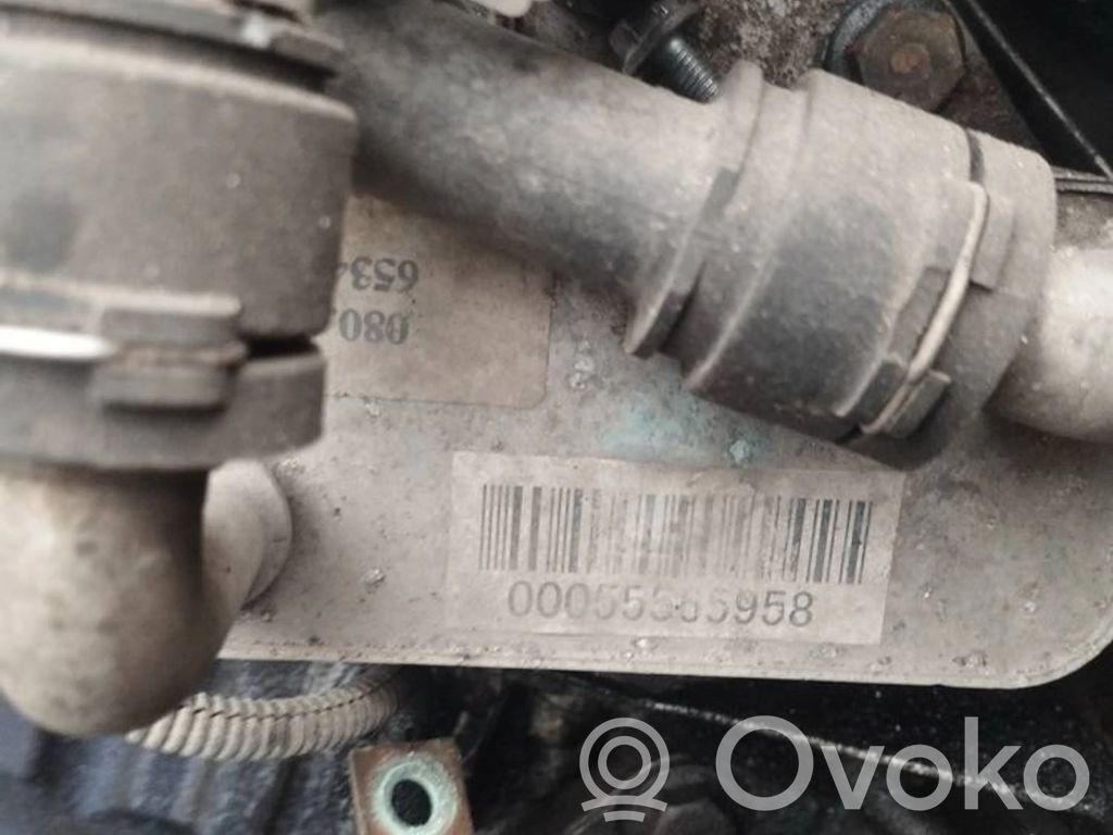 Radiator ulei motor   00055565958,00055565958
