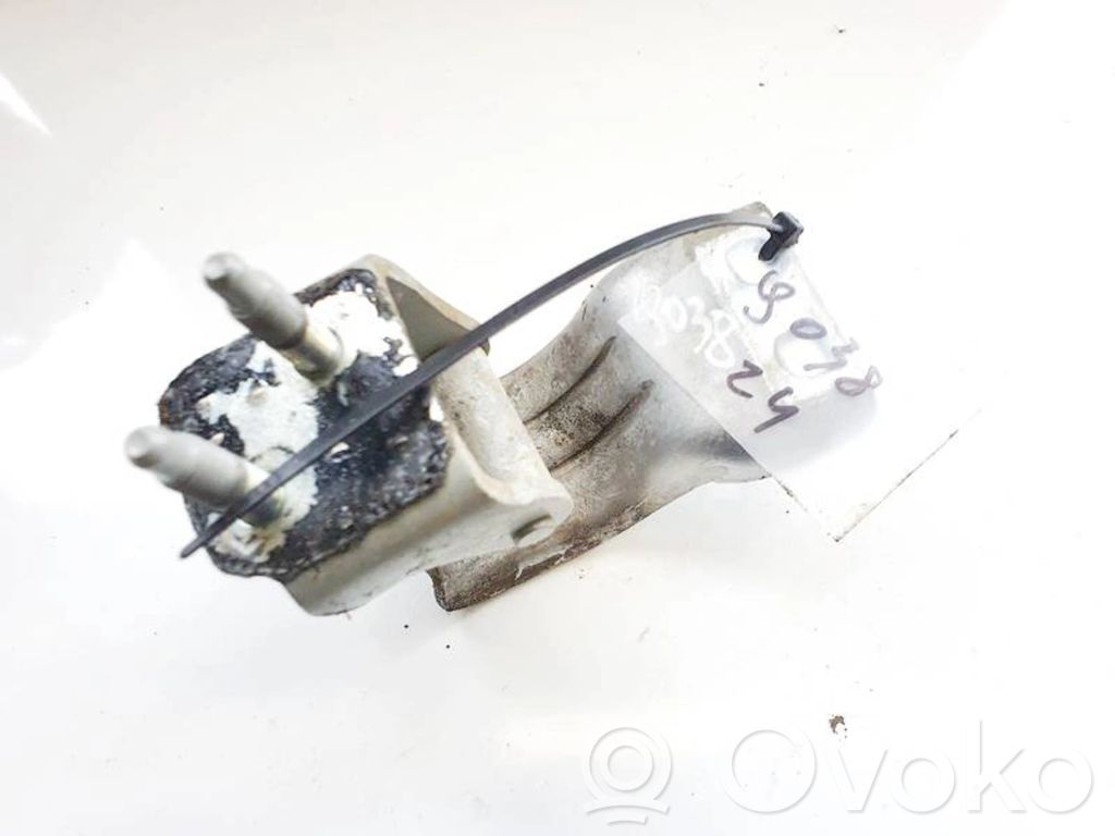 Volkswagen PASSAT B6 Cerniera portellone posteriore/bagagliaio 