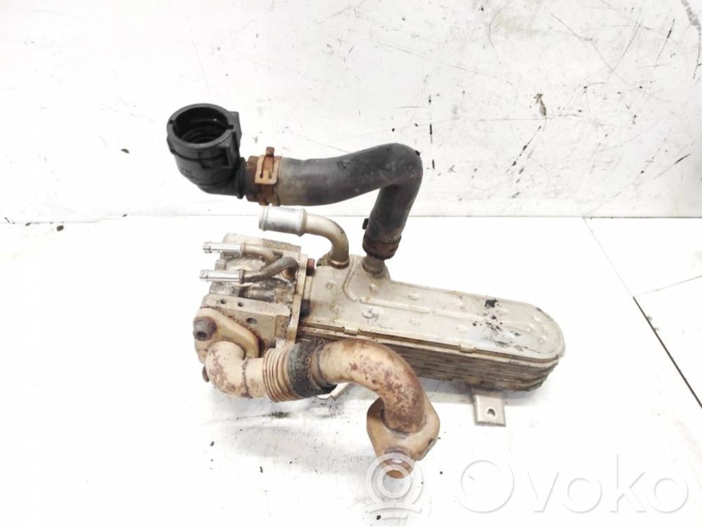 Volkswagen Golf Plus Chłodnica spalin EGR 