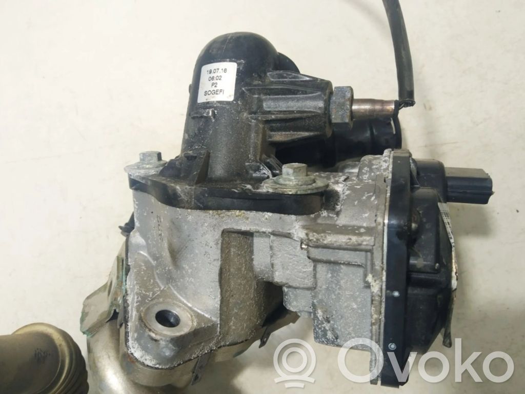 Válvula EGR   8201143495,147102557R,147102557R,1501000212,8201143495,T070913305