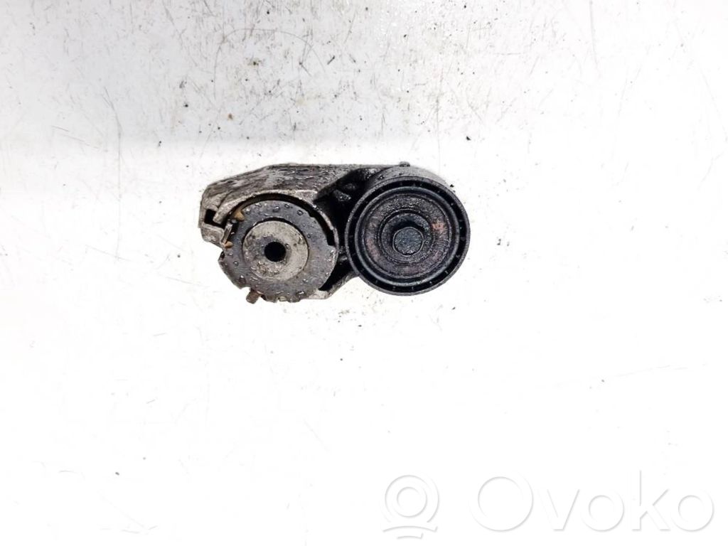 Ford Mondeo Mk III Întinzător curea generator/alternator 