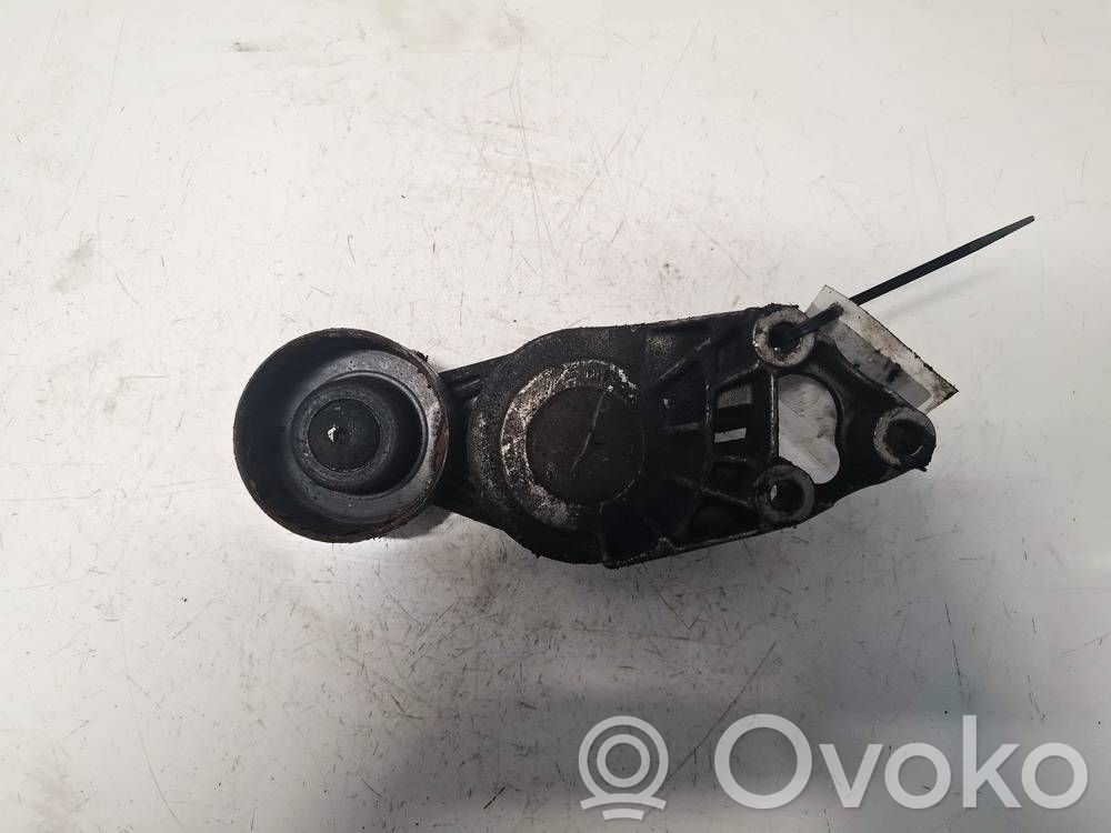 Audi A3 S3 8L Întinzător curea generator/alternator 