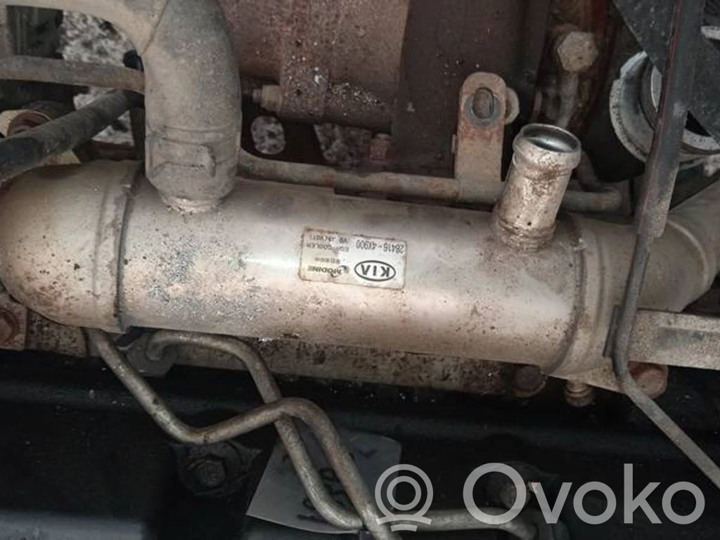 KIA Carnival Chłodnica spalin EGR 
