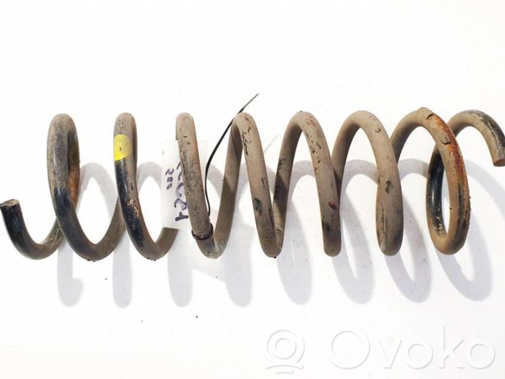 Rear coil spring