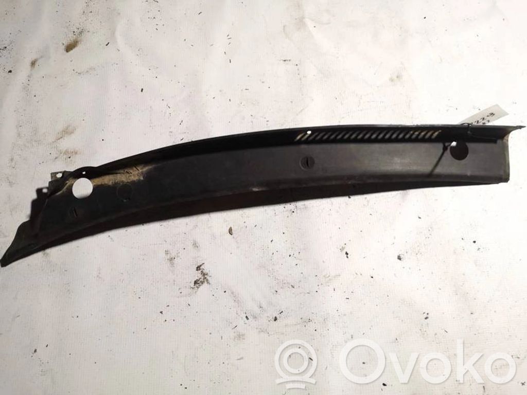Moldura del limpia   8D1819403A,8D1819403A