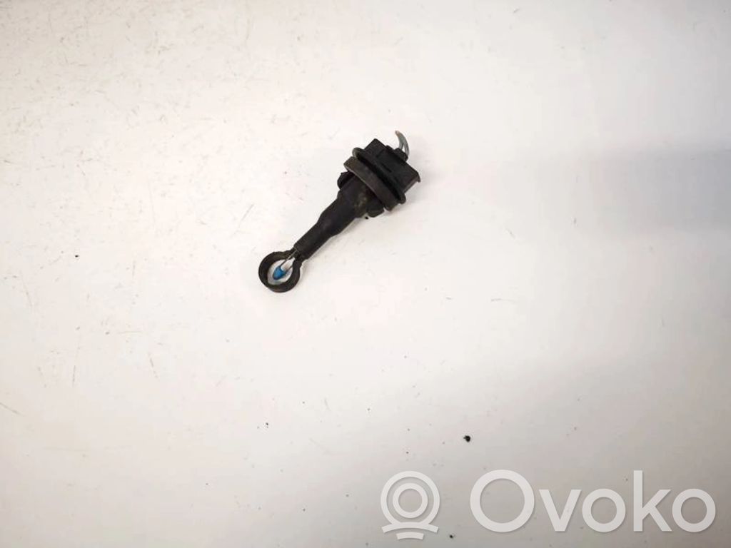 Innentemperatursensor   006667V,006667V