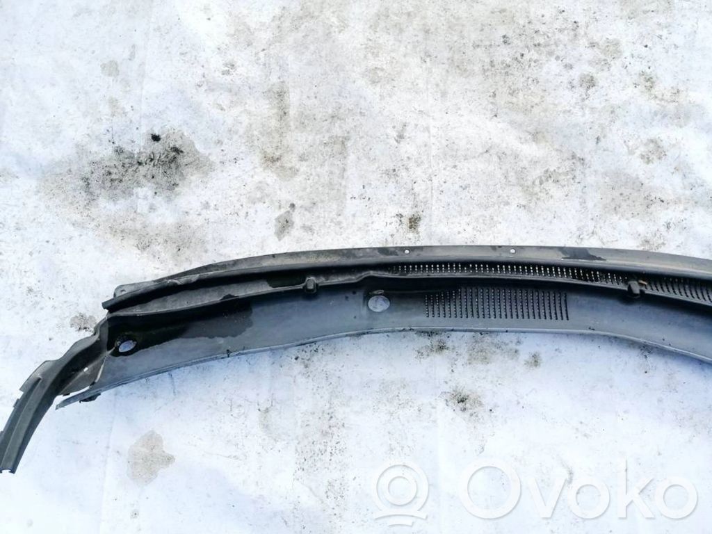 Hyundai Santa Fe Rivestimento del tergicristallo