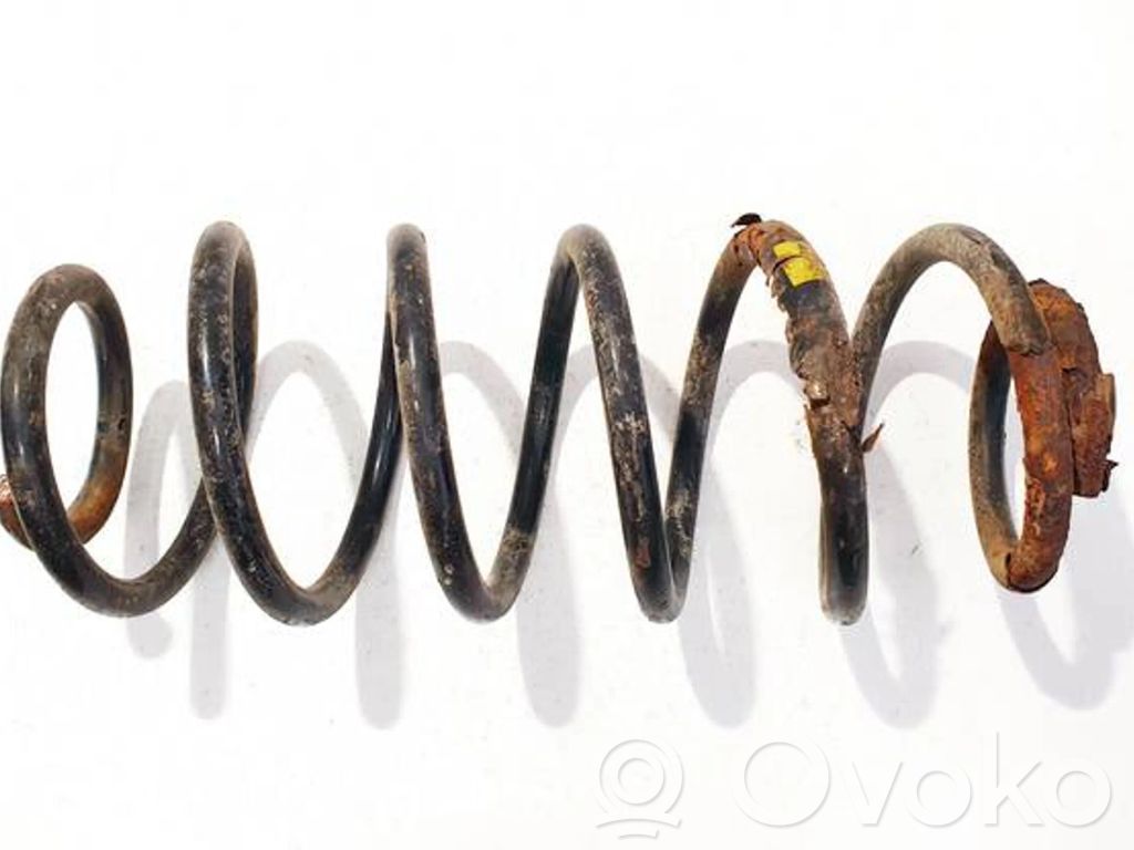 Muelle espiral trasero