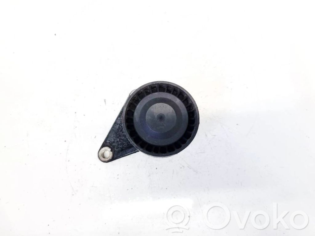 Audi Q7 4L Belt tensioner pulley 
