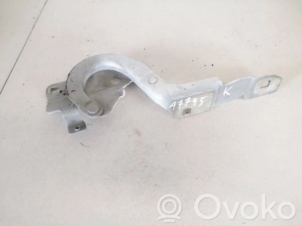 Renault Zoe Engine bonnet/hood hinges 