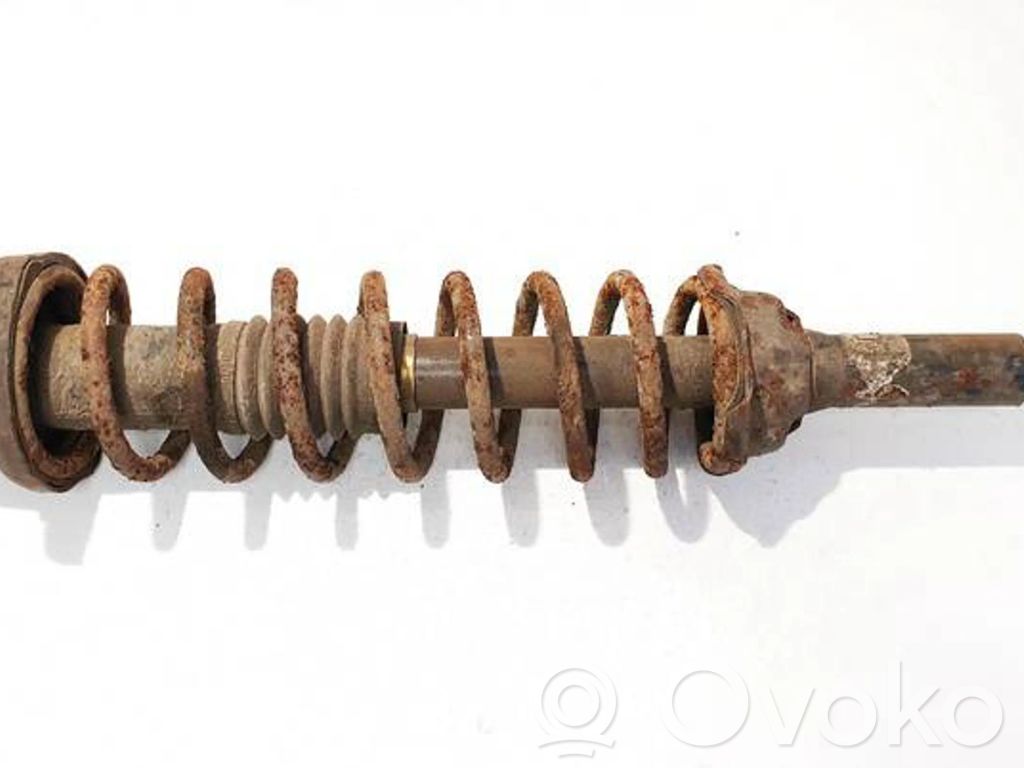 Stoßdämpfer hinten