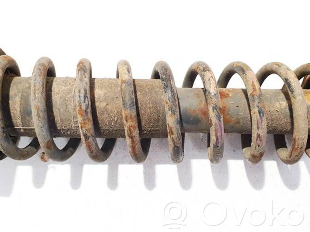 Muelle espiral trasero