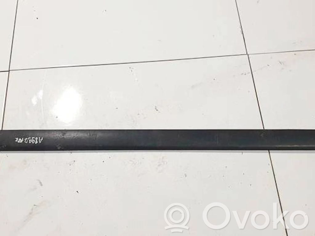 Front door trim (molding)   90587375,90587375