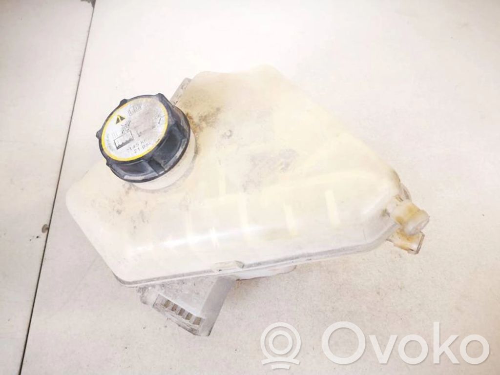 Ford Fiesta Serbatoio di compensazione del liquido refrigerante/vaschetta 