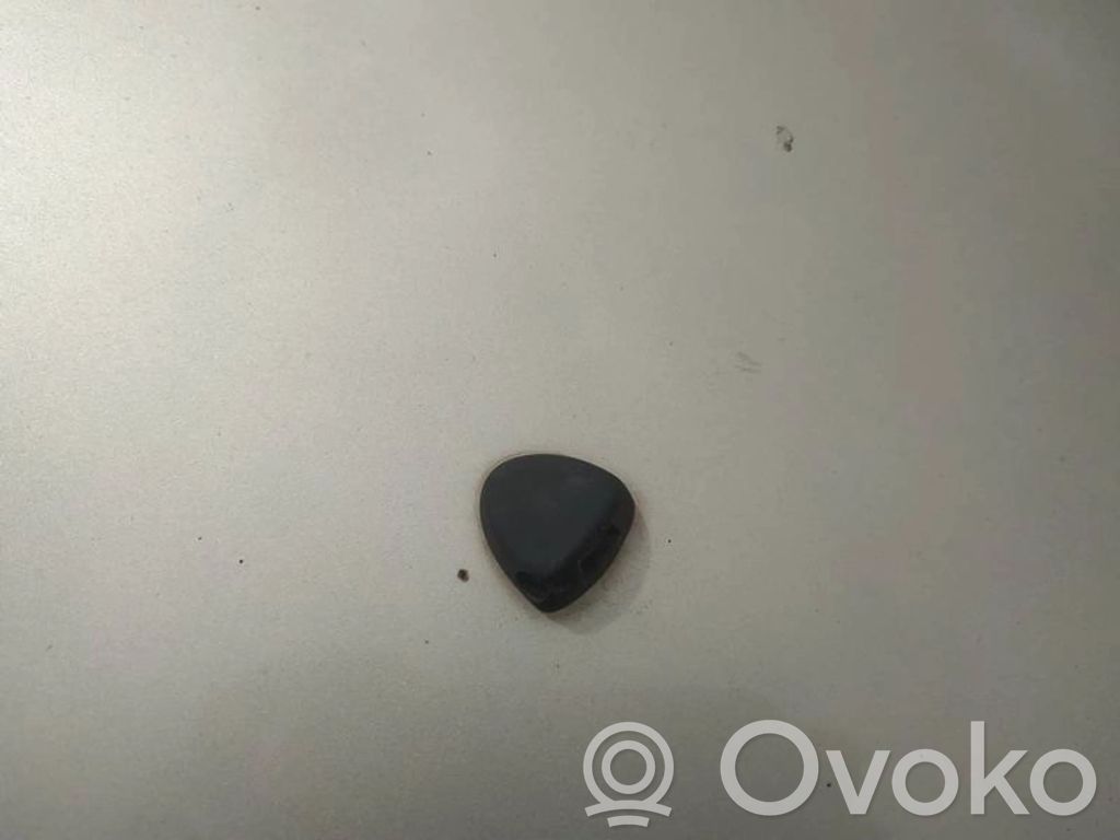 Difusor de agua regadora de parabrisas