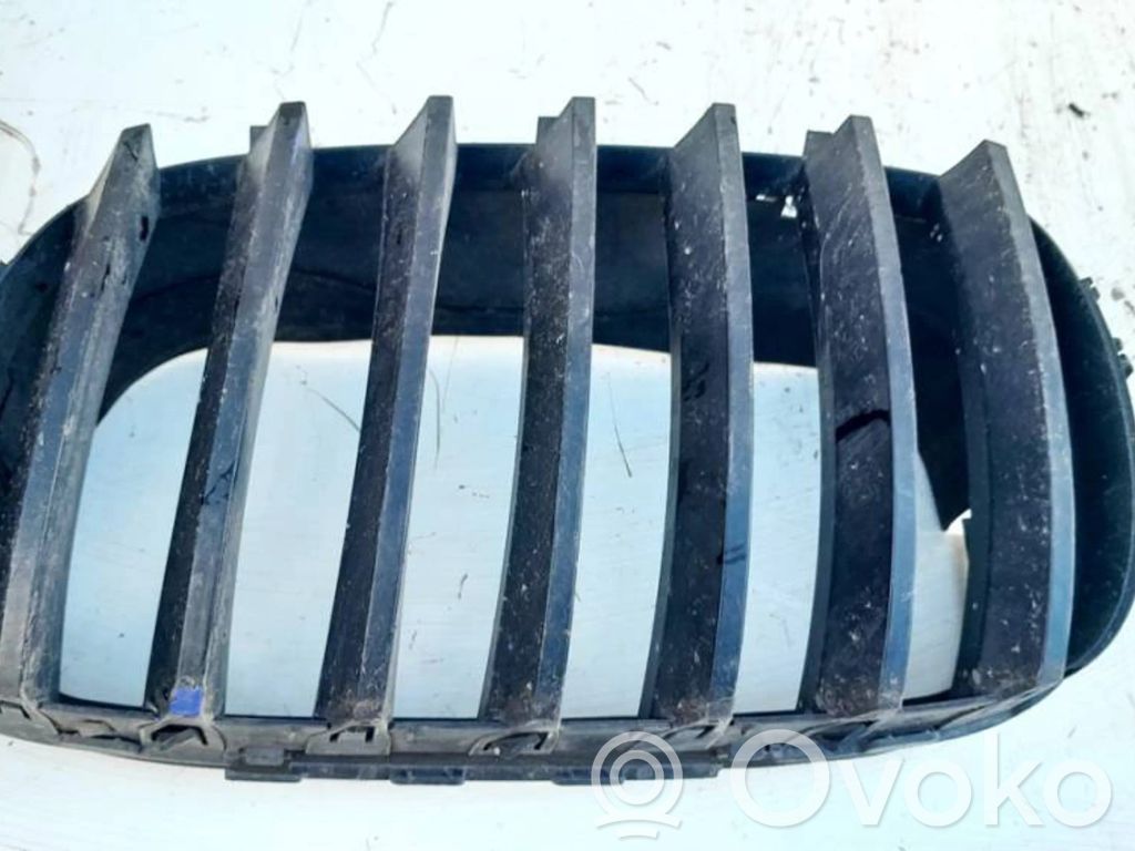 BMW X5 E70 Rejilla delantera 