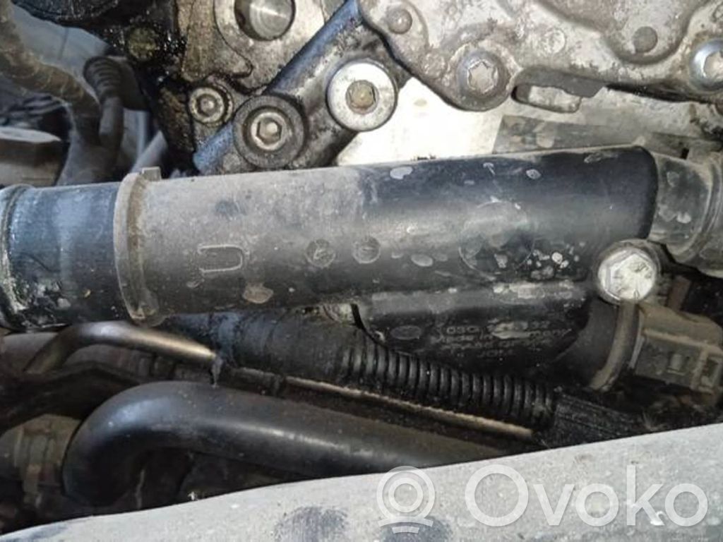 Audi A3 S3 8P Przewód / Wąż chłodnicy 