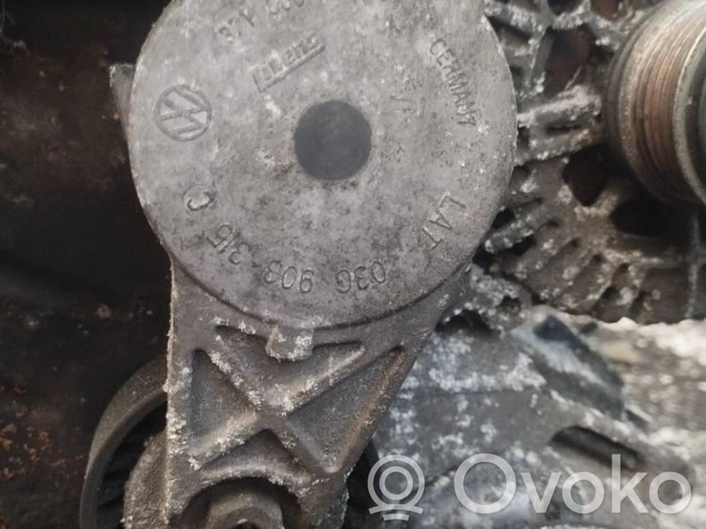Tendicinghia generatore/alternatore   03G903315,03G903315