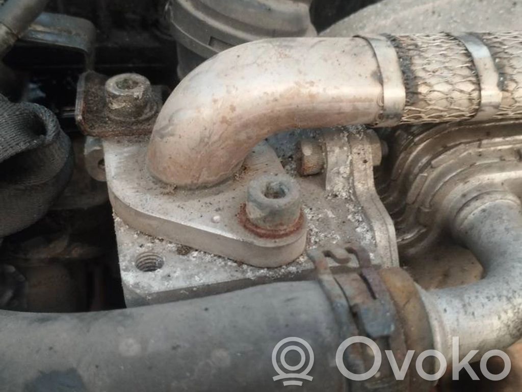 Volkswagen Golf Plus Valvola EGR