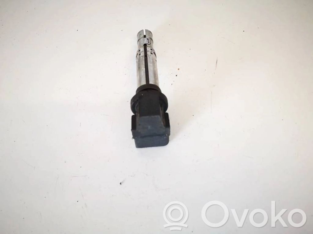Skoda Yeti (5L) Bobina di accensione ad alta tensione 