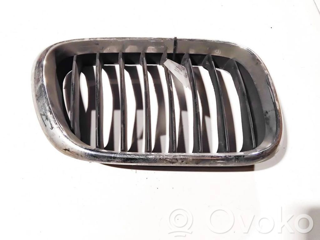 BMW X5 E53 Front bumper lower grill 
