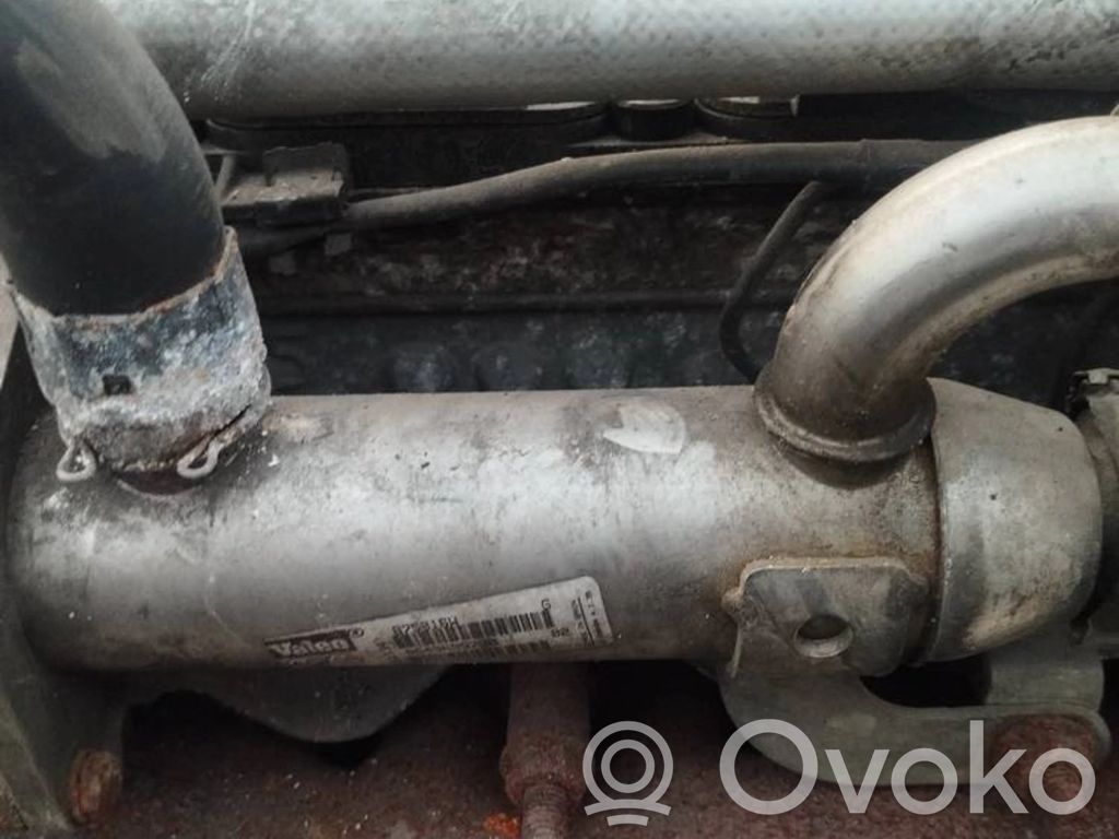 Peugeot 307 Valvola di raffreddamento EGR