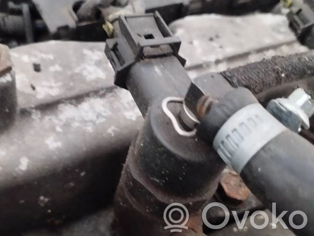 Inyector de combustible   0445110256,0445110256