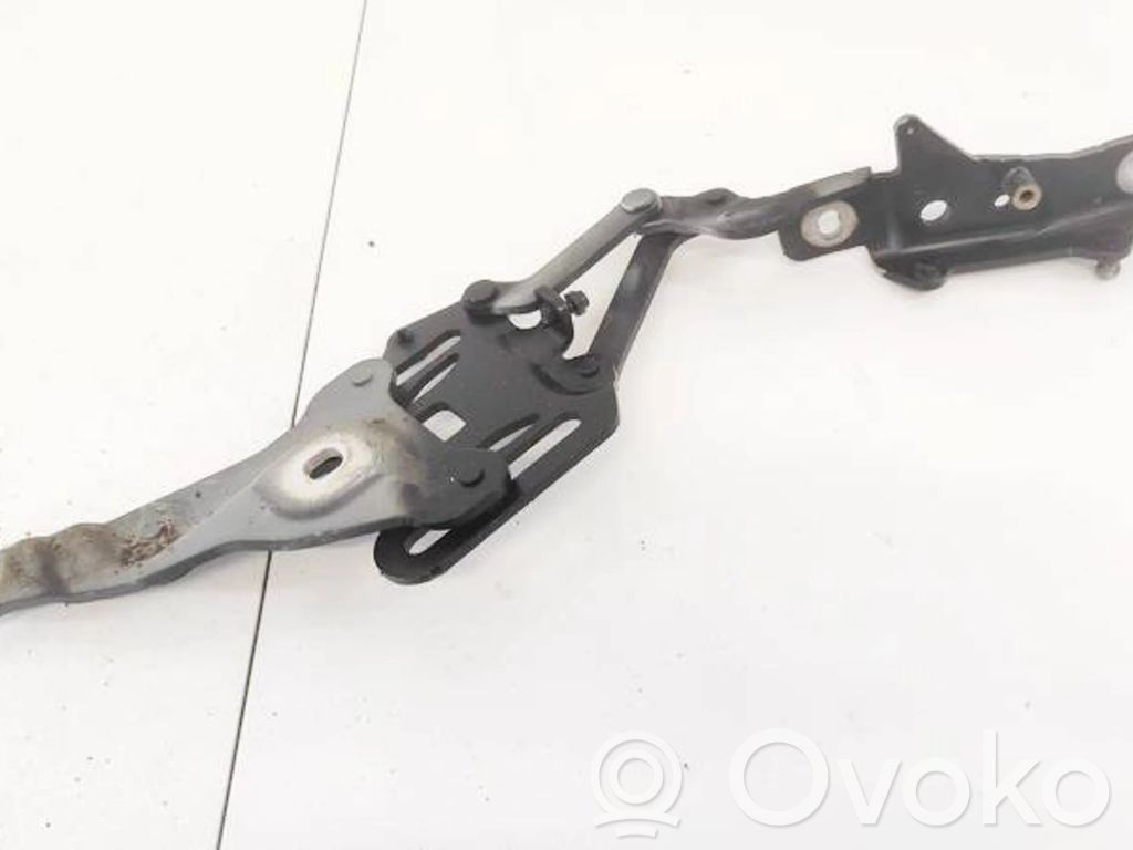 BMW X5 E70 Cerniere del vano motore/cofano