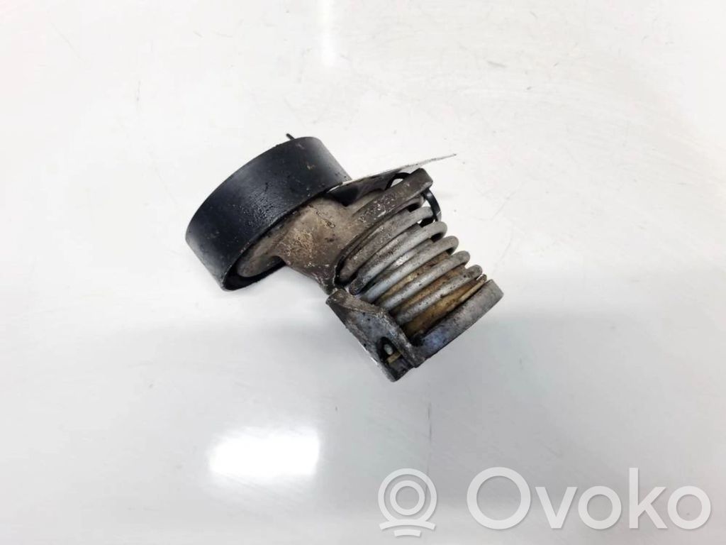 Audi A6 S6 C6 4F Întinzător curea generator/alternator 