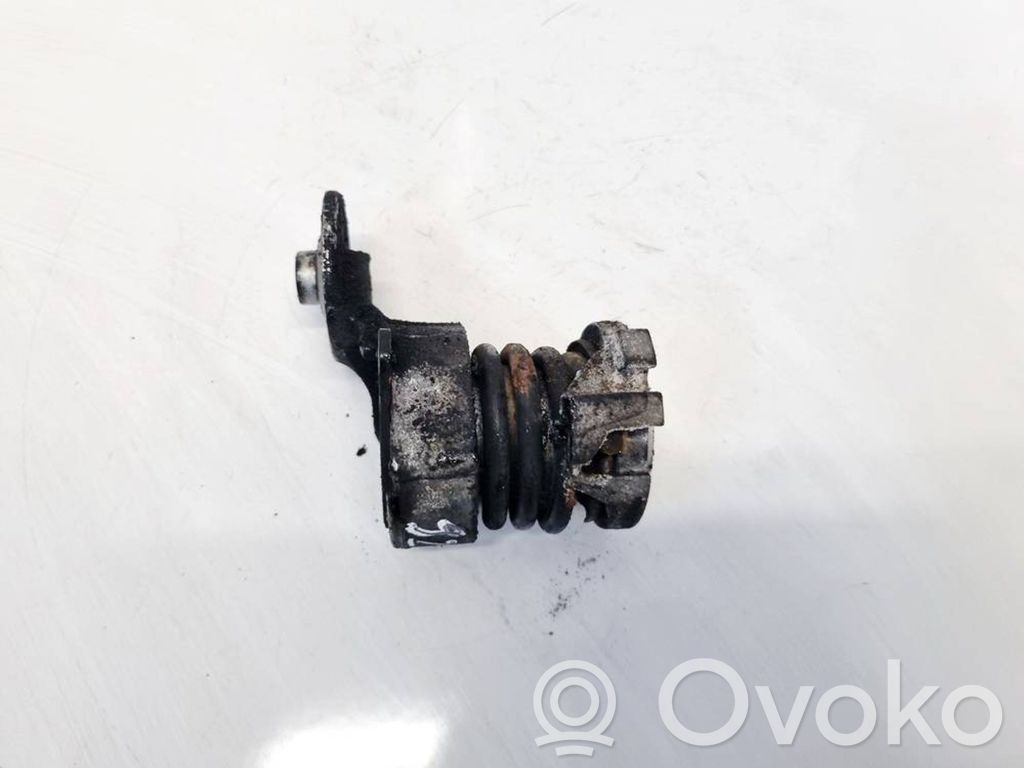 Volkswagen Polo IV 9N3 Întinzător curea generator/alternator 