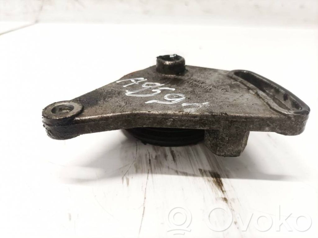 Volkswagen PASSAT B5.5 Întinzător curea generator/alternator 