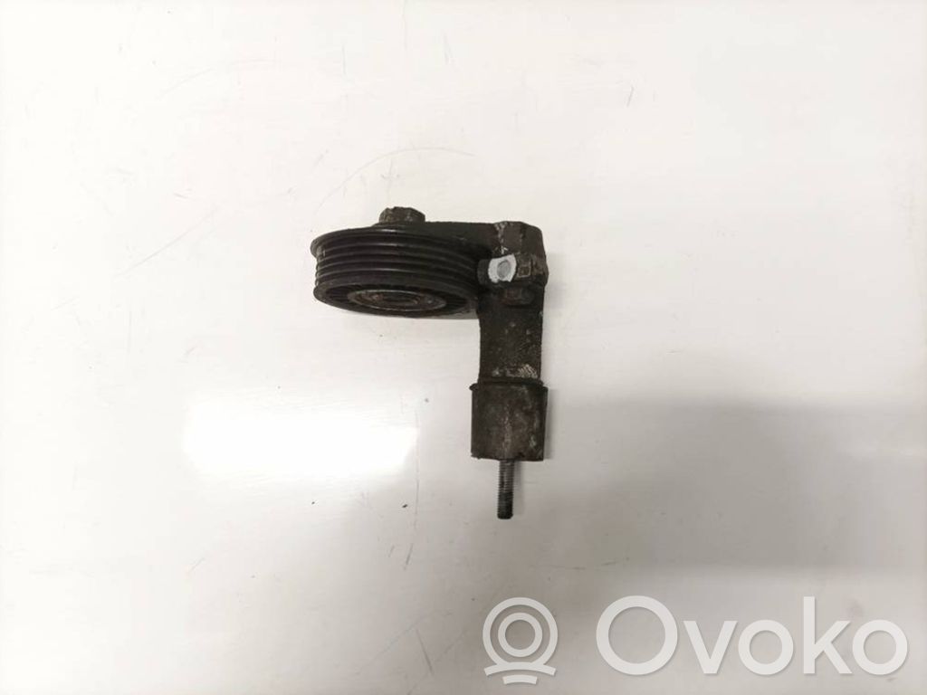Audi A6 S6 C5 4B Întinzător curea generator/alternator