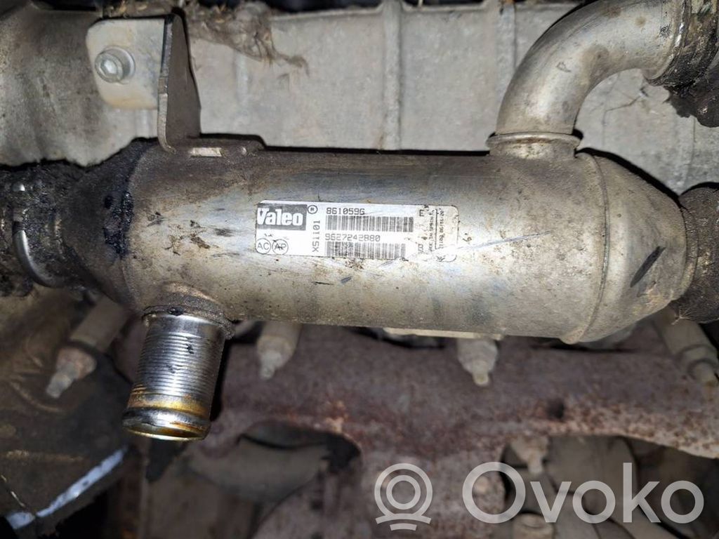 Citroen C5 Răcitor supapă EGR 