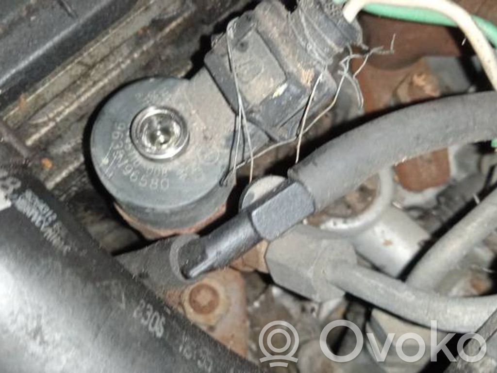 Inyector de combustible   0445110008,9635196580,0445110008,9635196580