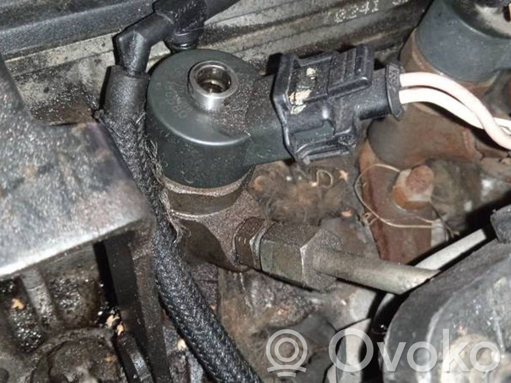 Peugeot 406 Injector combustibil
