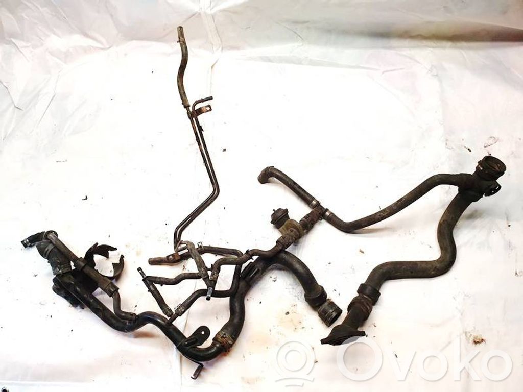 Volkswagen PASSAT B5 Conductă/furtun lichid de răcire motor 