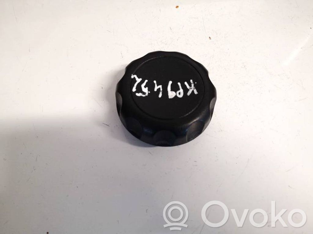Ford Fiesta Altra parte interiore 