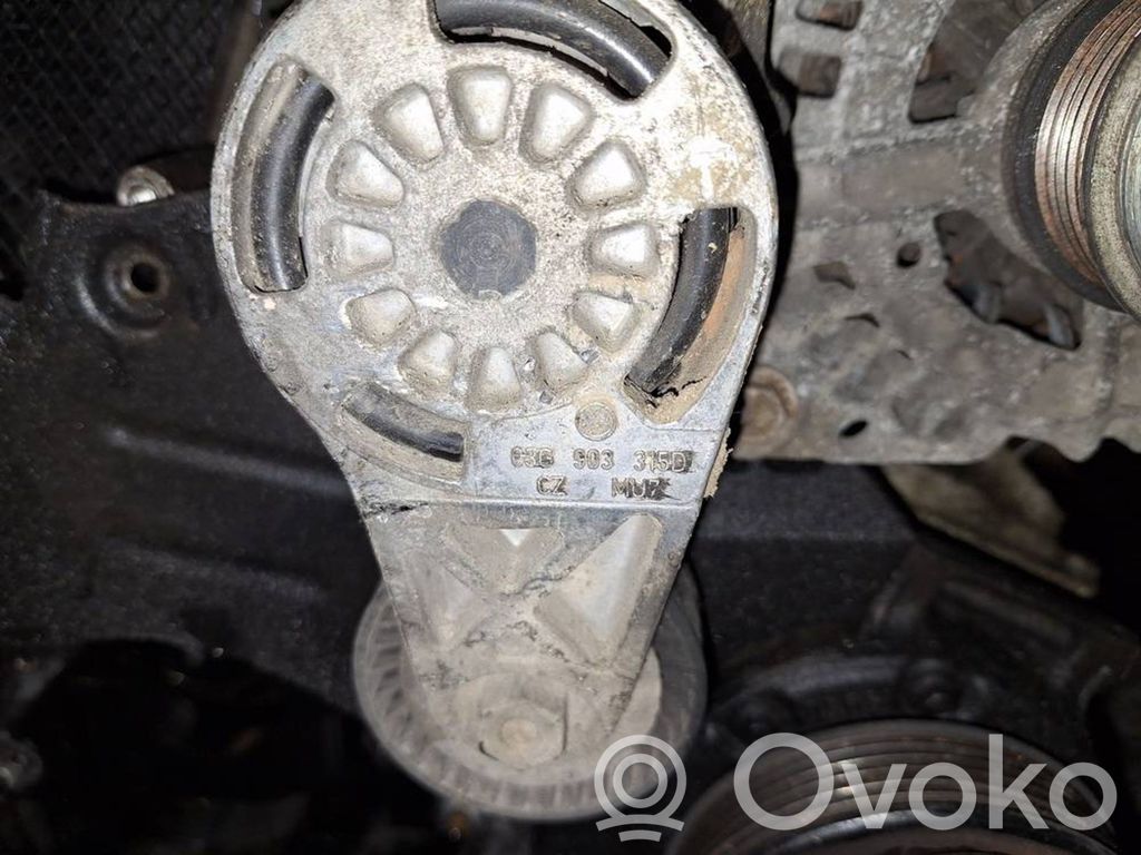 Tensor de correa del alternador   03G903315D,03G903315D
