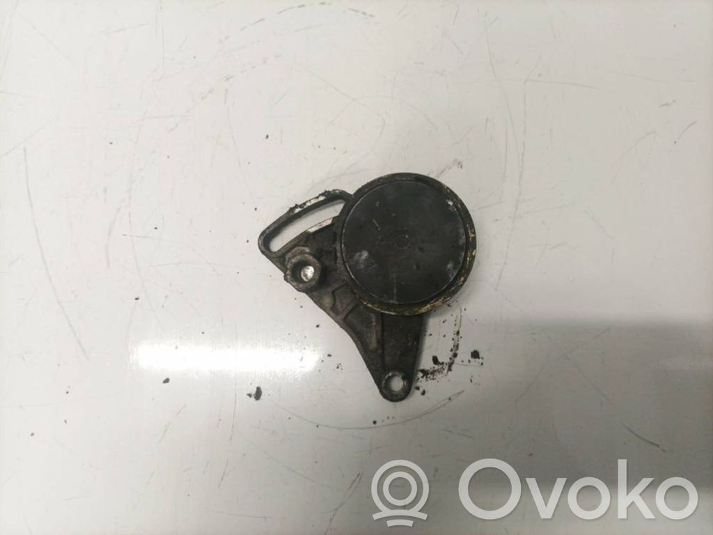 Volkswagen PASSAT B5 Întinzător curea generator/alternator 