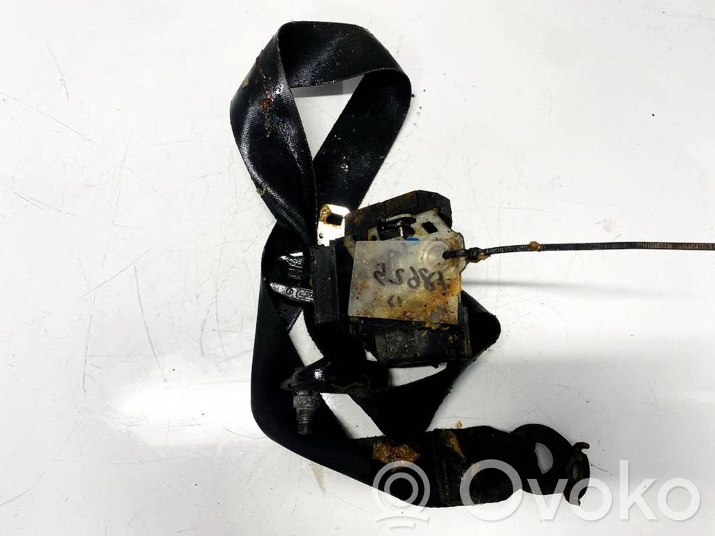 Cinturón delantero   3008798A,3008798A