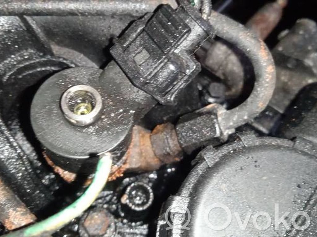 Inyector de combustible   0445110239,0445110239