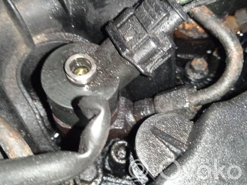 Injector combustibil   0445110239,0445110239