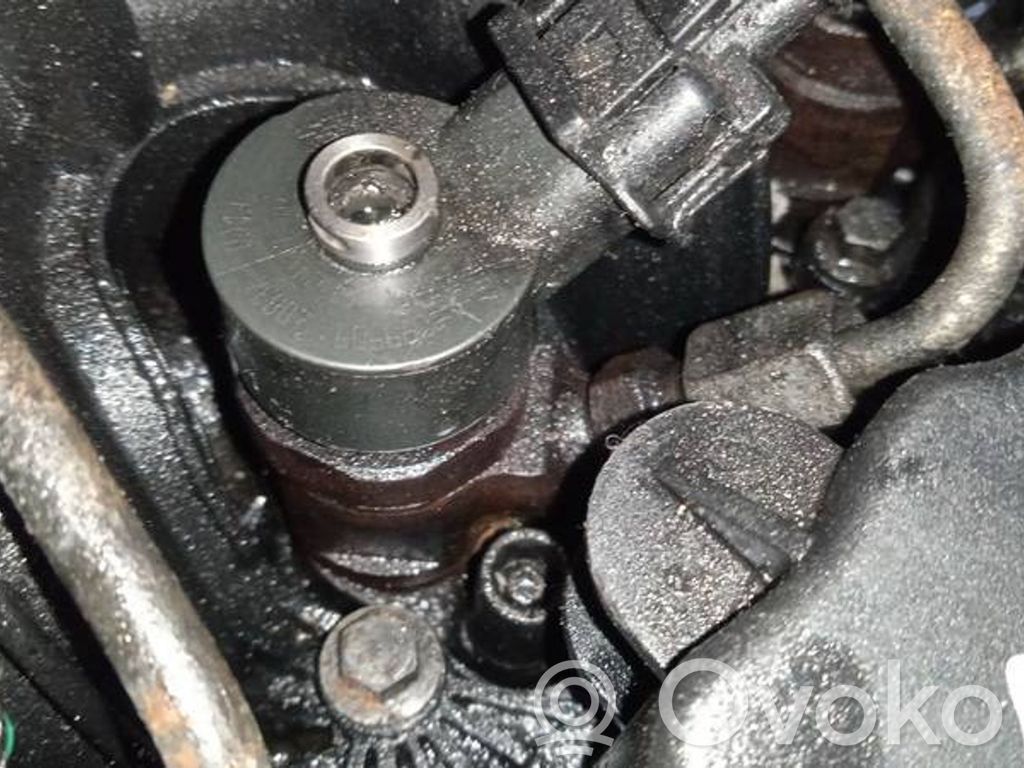 Inyector de combustible   0445110239,0445110239