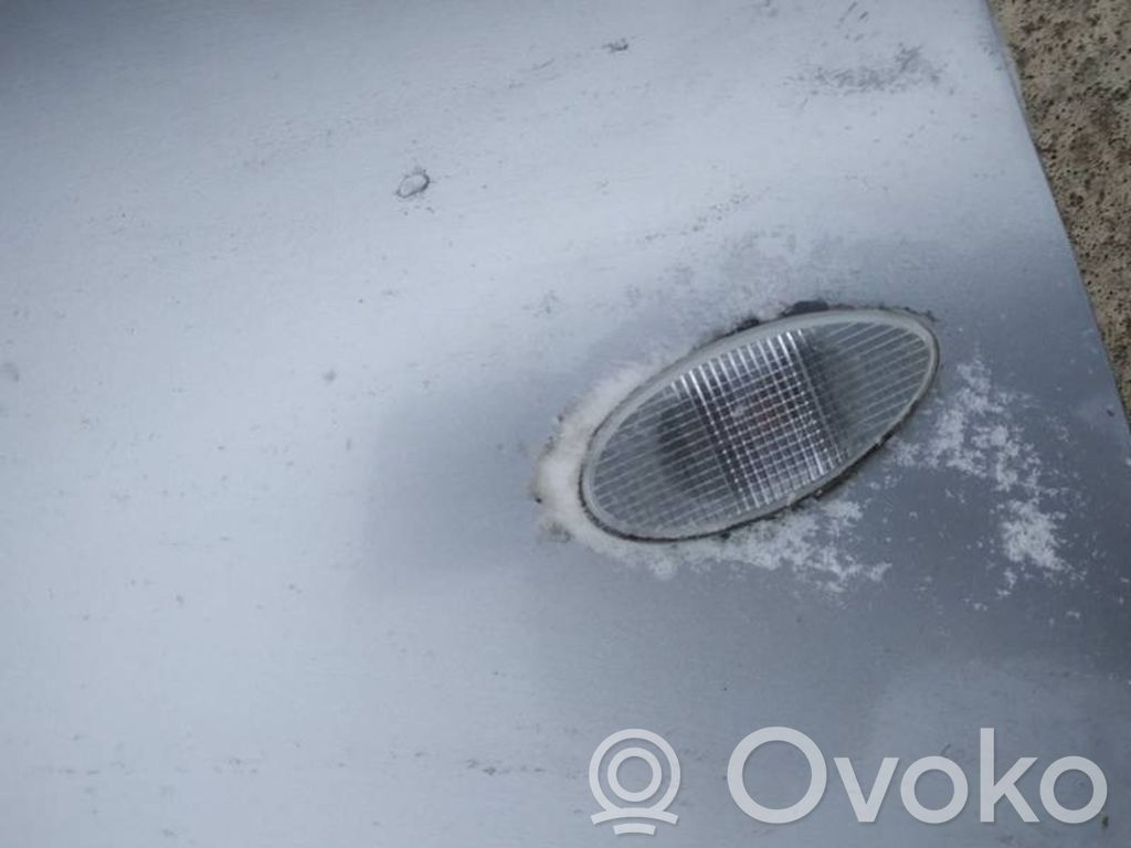 Seitenblinker