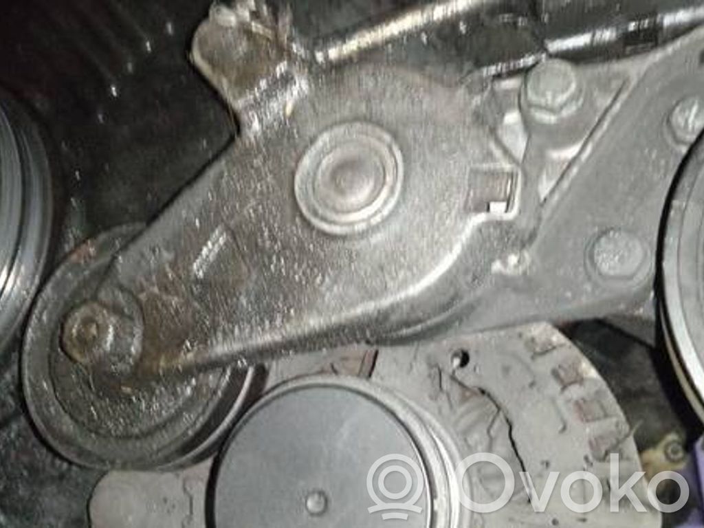 Skoda Octavia Mk1 (1U) Întinzător curea generator/alternator 