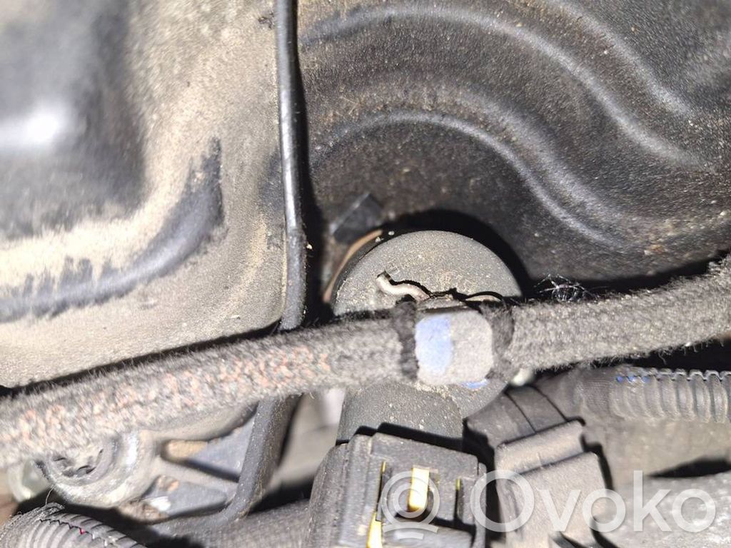 Inyector de combustible   0445110276,0445110276